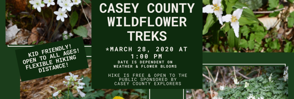 Casey County Wildflower Treks