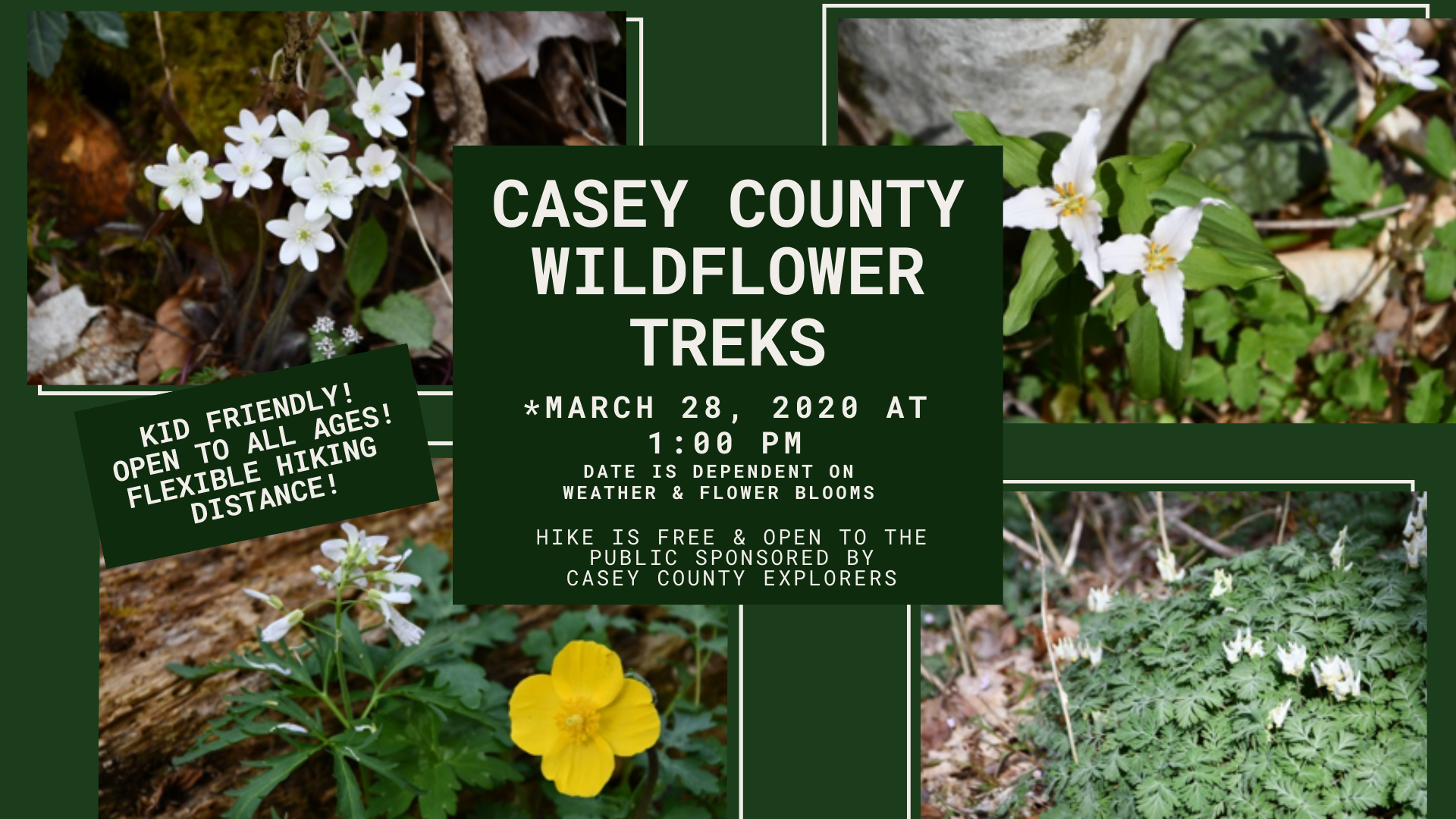 Casey County Wildflower Treks