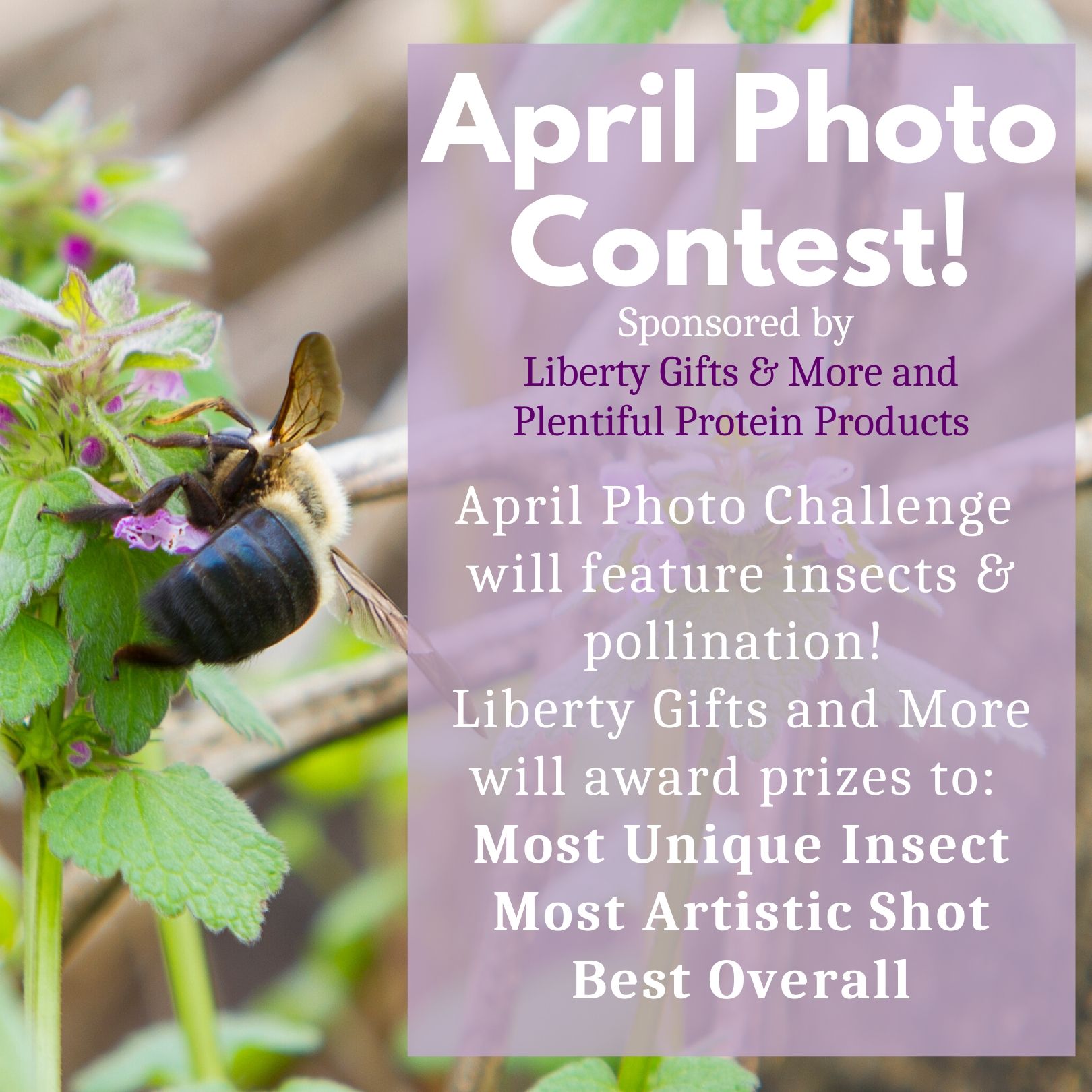 April Photo Contest